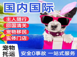 观音机场快递国际宠物托运 【国